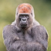 Alex Hill ๐น๐งฒ (@alexstockhill) 's Twitter Profile