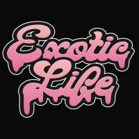 Exotic Life (@exoticlifechi) 's Twitter Profile