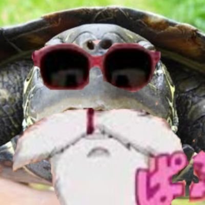 turtleheadherm2 Profile Picture