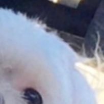 vbhg1234567899's profile picture. 