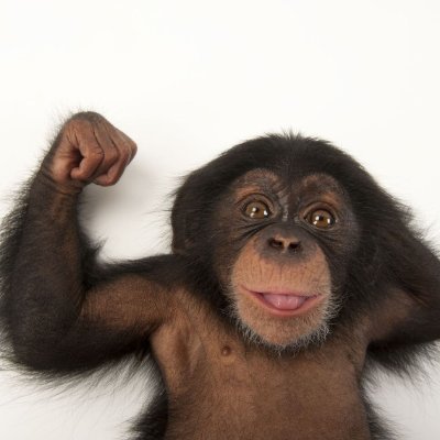 StockCompil's profile picture. I read a lot of hedge fund letters. I share the best ideas here and in my newsletter (with all links) : https://t.co/FKtknwEaPC