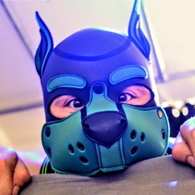 Bork Bork!
Just your average kinky German Shepherd going about his business,                          #2 Good Boy

30/Bi/Ace 🐕🦊🐎