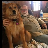 Alan Adams (@aadams99440) 's Twitter Profile