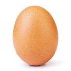 100macarrones's profile picture. FFFFFFFFFFFFFFFFFFFFFFFFFFFFFFFFFFFFFFFFROG