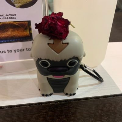 Anushka95853740's profile picture. I’m a 20 year old gay and trans dude… that’s about it