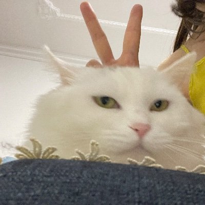 qtwwdxfylam's profile picture. 