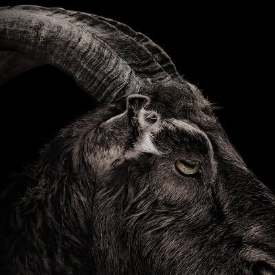 The Satanic Self

Visit https://t.co/IXXez9dhVR

For questions, email primisnati@gmail.com