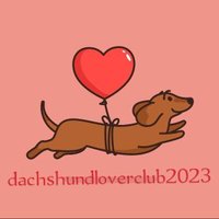 dachshund lover club 2023(@2023_dachshund) 's Twitter Profile Photo