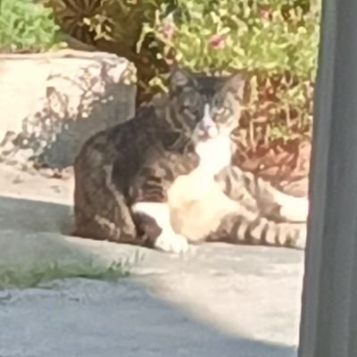 buginaowi's profile picture. Living the life