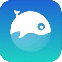 Willy App:Hotels and Travel(@WillyBooking) 's Twitter Profile Photo