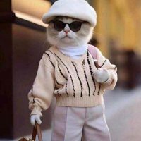 domcarez.stark ❤️ Memecoin (@domcarezo) 's Twitter Profile