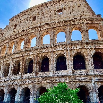 Camila44084817's profile picture. Contadora Pública