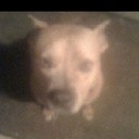 Hannah Claire Knox - @hannahtwotoots - Twitter