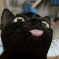 saejm (@semajino) 's Twitter Profile
