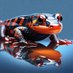 PlaidSalamander2 (@salaryan702) Twitter profile photo PlaidSalamander2 (@salaryan702) Twitter profile photo