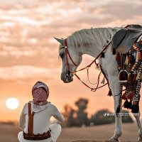 عبدالله باسم (@bdllhbsm7) 's Twitter Profile