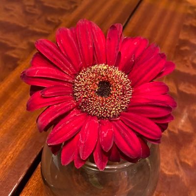 cutaldila's profile picture. 