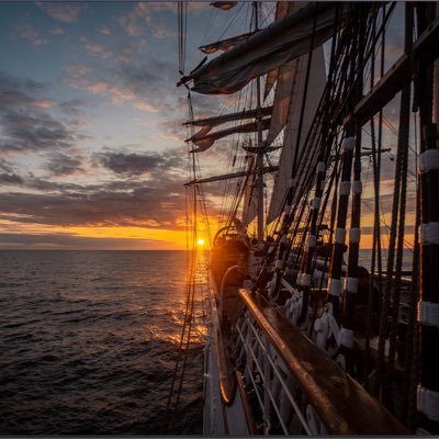 OguzKalkavan's profile picture. 