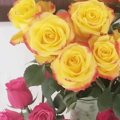 EriFlySalva's profile picture. 