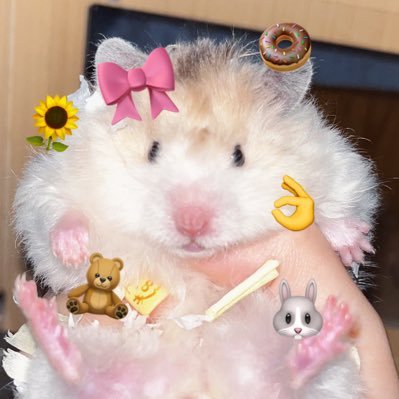 津島阿行OKさんのプロフィール画像