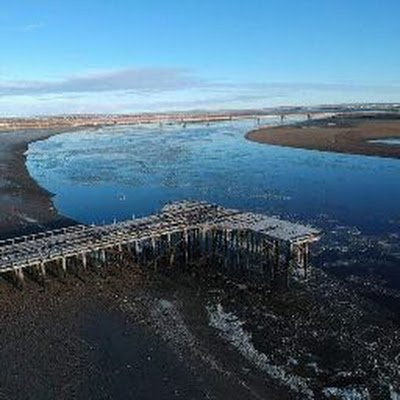 frioyventoso's profile picture. 