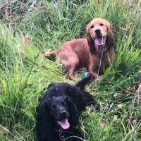 Shazza💙 (@sharonrosew) 's Twitter Profile Photo Shazza💙 (@sharonrosew) 's Twitter Profile Photo