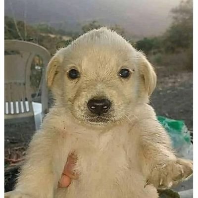 JhMiguelit50377's profile picture. 