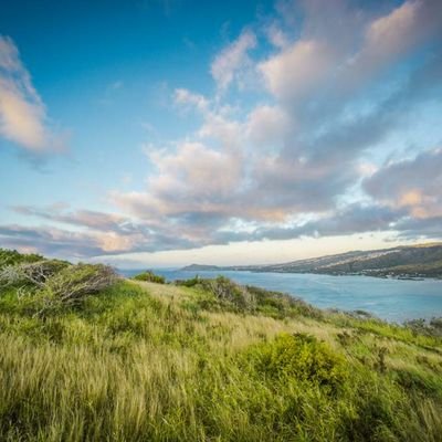 popeofgrace's profile picture. Take me to ➡️ 3K.