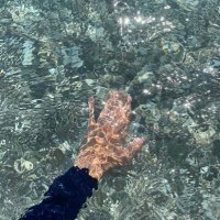 Rumeysa Boz (@bozrumeysa) Twitter profile photo