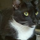 BindiSueHess - @BindiSueHess - Twitter