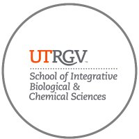 UTRGV SIBCS (@utrgvsibcs) 's Twitter Profile