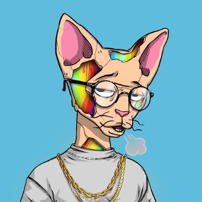 RhyleeHills's profile picture. World of Solana NFT incredibly undervalued.