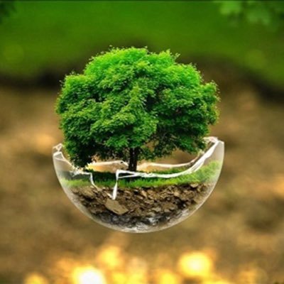 مفتشة بيئية | المركز الوطني للرقابة على الالتزام البيئي