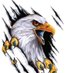 Kara kartal 🦅 (@sleyman15533638) Twitter profile photo