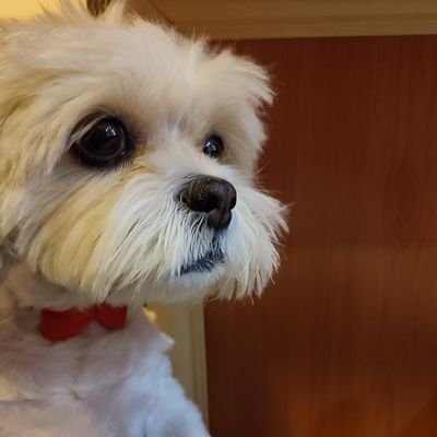 Elieee93's profile picture. 