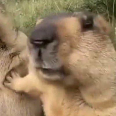 mawltz's profile picture. 🫵🧙🏼‍♂️