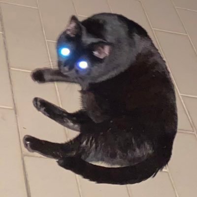 bitumeさんのプロフィール画像