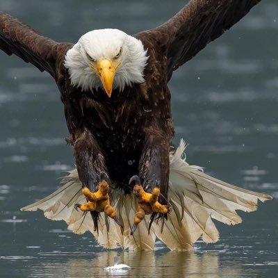 Christian_ngwu's profile picture. Focus on my customers' success by insisting on continuous improvement and application of Zero Defect capability Processes