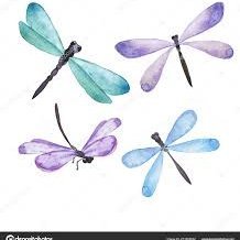 DRAGONFLY0645's profile picture. Elevate Your Shopping: Discover products that match your style effortlessly. Shop smart for a personalized touch of perfection!