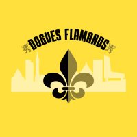 Dogues Flamands(@DoguesFlamands) 's Twitter Profile Photo