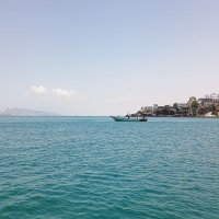 اسامه محمد (@mntsr_aldal) 's Twitter Profile