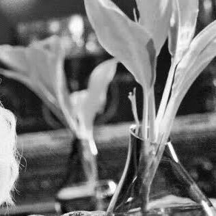 Yui65953545's profile picture. 冬ノ介に沼に落とされたただのオタク