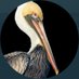 Victor Mattiece (@z_or_zee) Twitter profile photo Victor Mattiece (@z_or_zee) Twitter profile photo