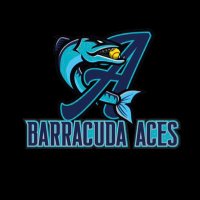 Barracuda Aces 16u Olson (@ba16uolson) 's Twitter Profile Photo Barracuda Aces 16u Olson (@ba16uolson) 's Twitter Profile Photo