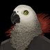 ダークオークション-ヒトラーの遺産-公式 (@dark_auction) Twitter profile photo ダークオークション-ヒトラーの遺産-公式 (@dark_auction) Twitter profile photo