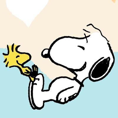 comyucool's profile picture. 中森明菜☆  KinKi Kids☆   Every Little Thing☆                      
                                    怪しいフォロー・DMは通報&ブロックします！
私女子！エッチ系は興味無し！