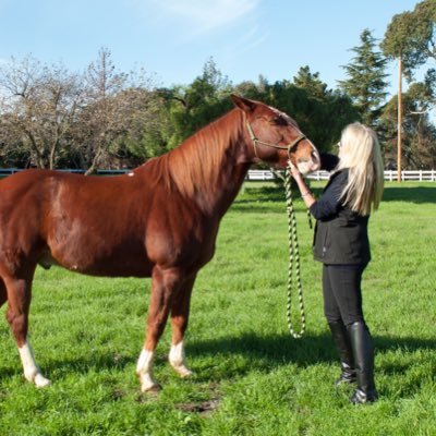 Author. Poet. Writer. Student of Life. Environmentalist. Dachshund Mom. Rescue Horse Owner. Love is the Answer. Peace is the Way. No DM’s. 🖤🕊️🖤🐴🖤🐾🖤🕊️🖤