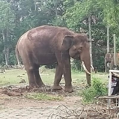 berhenti berharap sama sesuatu yg gk pasti..