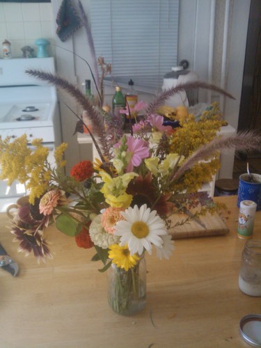 tsmnelson's profile picture. 