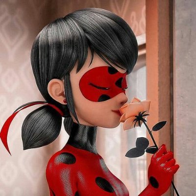 Official entertainment of miraculous ladybug and catnoir watch now to entertain more 🇲🇫